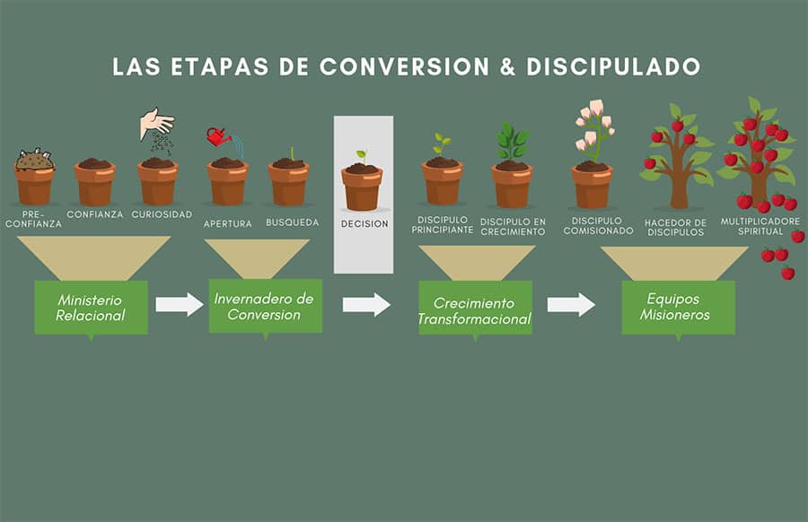 Updated Las Etapas de la Conversion & Disp. JPEG